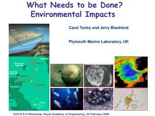 What Needs to be Done? Environmental Impacts