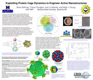Exploiting Protein Cage Dynamics to Engineer Active Nanostructures