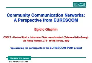 Community Communication Networks: A Perspective from EURESCOM