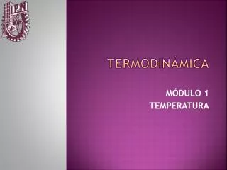 termodin mica