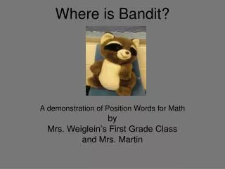 Where is Bandit?