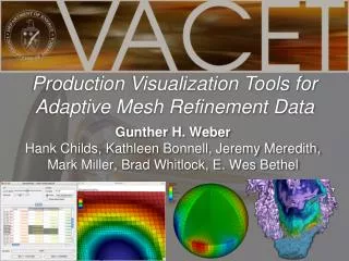Production Visualization Tools for Adaptive Mesh Refinement Data
