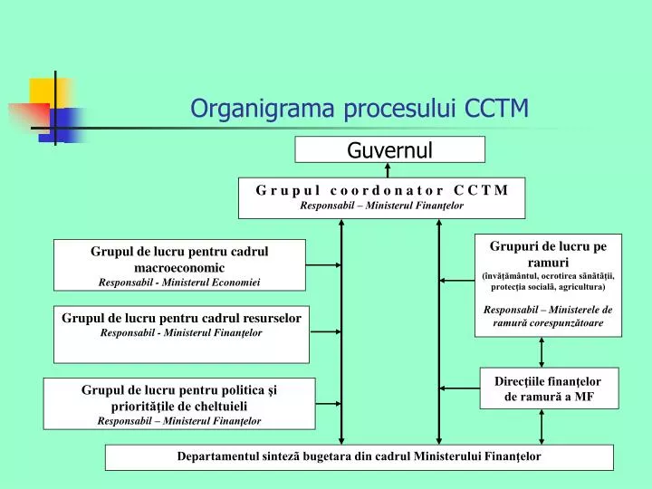 organigrama procesului cctm