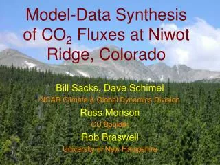 Model-Data Synthesis of CO 2 Fluxes at Niwot Ridge, Colorado