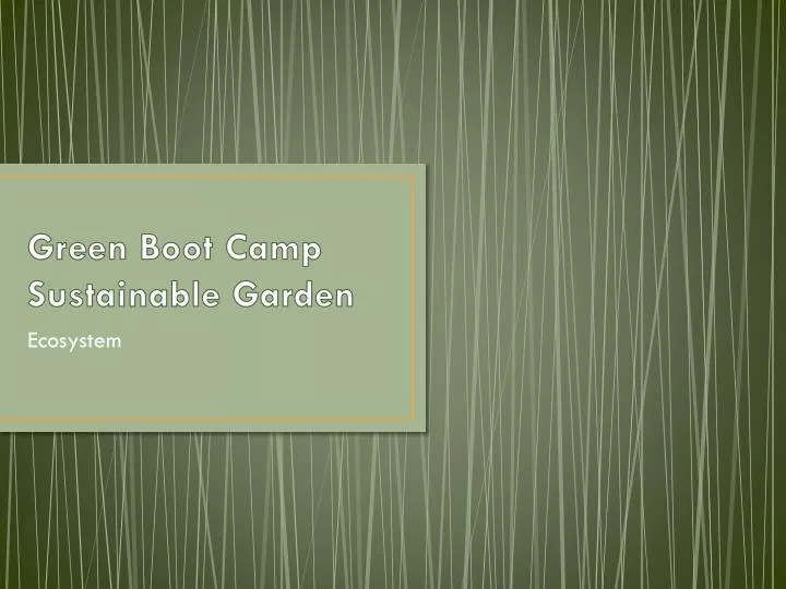 green boot camp sustainable garden