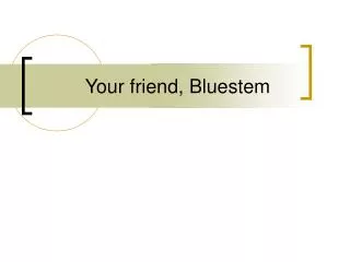 Your friend, Bluestem