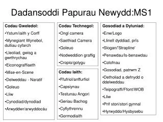dadansoddi papurau newydd ms1