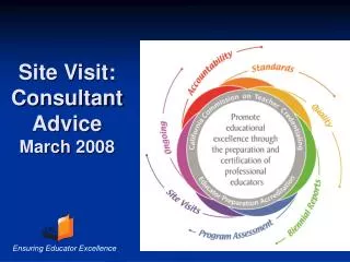 Site Visit: Consultant Advice March 2008