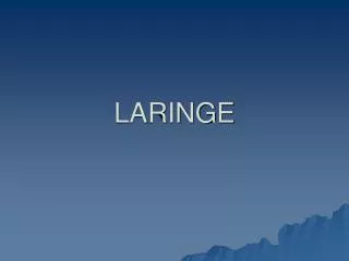 laringe