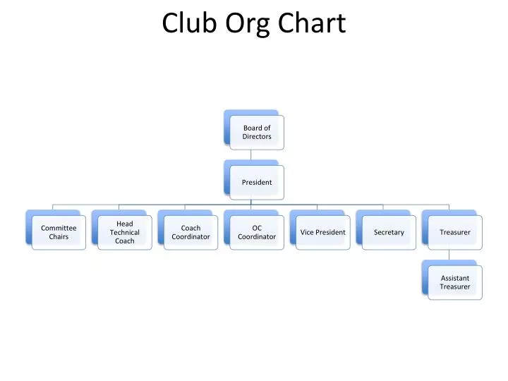 club org chart