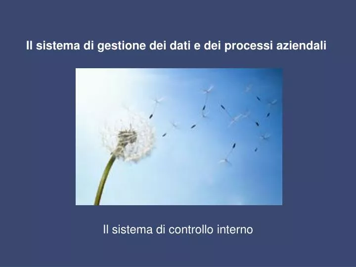 il sistema di gestione dei dati e dei processi aziendali