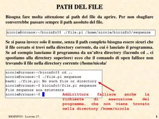 path del file