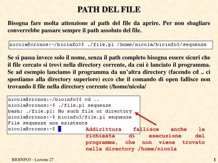 path del file