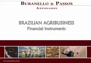 BRAZILIAN AGRIBUSINESS Financial Instruments