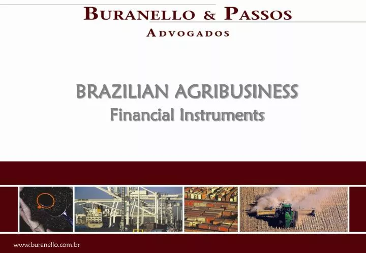 brazilian agribusiness financial instruments