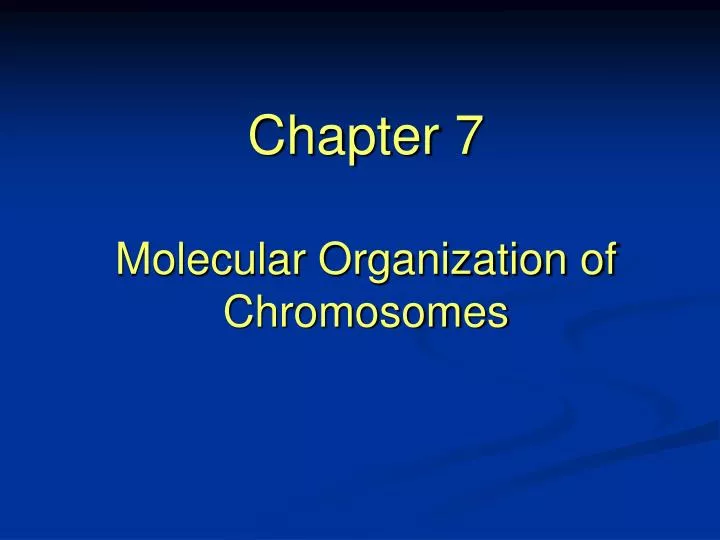 chapter 7 molecular organization of chromosomes