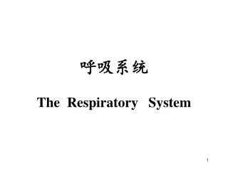 the respiratory system