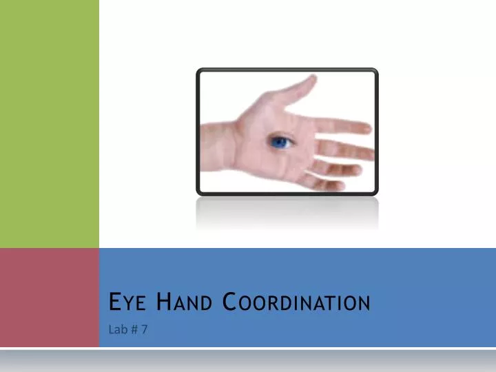 eye hand coordination