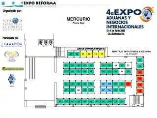 mercurio planta baja
