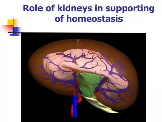 Role of kidneys in supporting of homeostasis