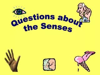 Questions about the Senses