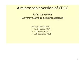 A microscopic version of CDCC P. Descouvemont Université Libre de Bruxelles, Belgium