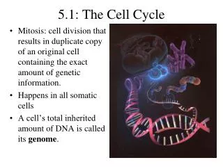 5.1: The Cell Cycle