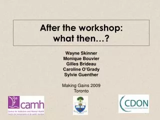 After the workshop: what then…?