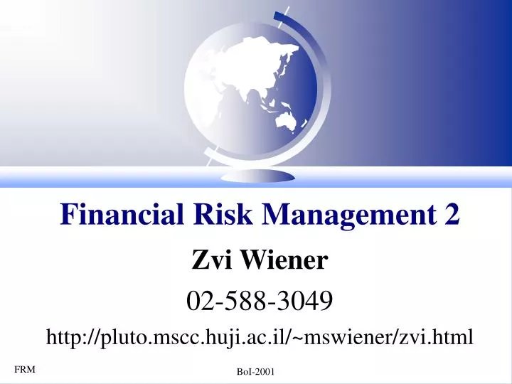 financial risk management 2
