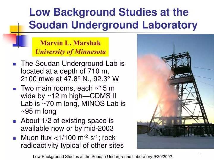 low background studies at the soudan underground laboratory