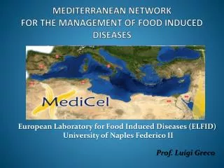 MEDITERRANEAN NETWORK FOR THE MANAGEMENT OF FOOD INDUCED DISEASES