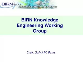 BIRN Knowledge Engineering Working Group