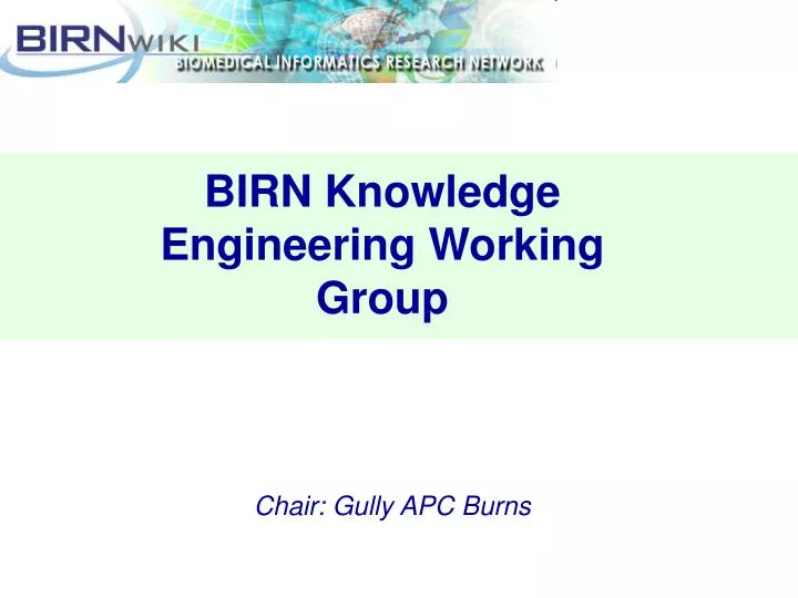 birn knowledge engineering working group