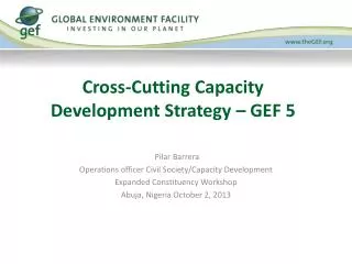 Cross-Cutting Capacity Development Strategy – GEF 5