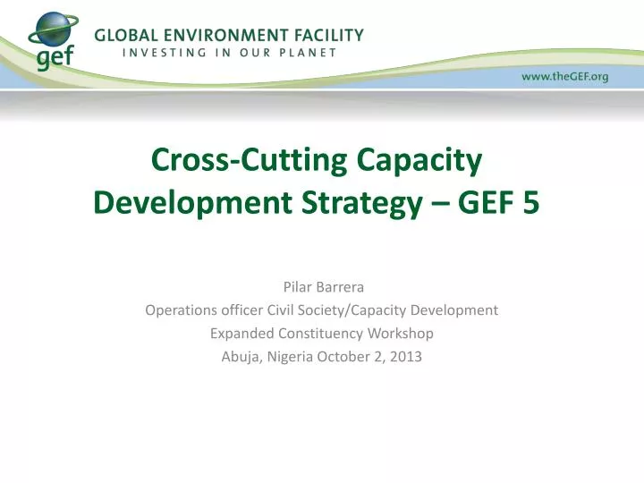 cross cutting capacity development strategy gef 5