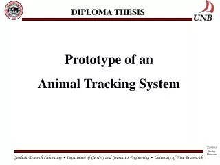 DIPLOMA THESIS