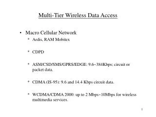 Multi-Tier Wireless Data Access