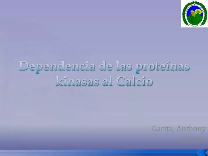 dependencia de las prote nas kinasas al calcio