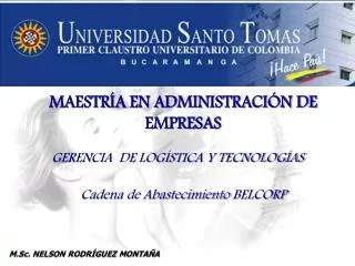 gerencia de log stica y tecnolog as