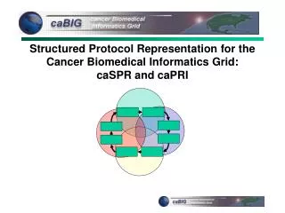 Structured Protocol Representation for the Cancer Biomedical Informatics Grid: caSPR and caPRI