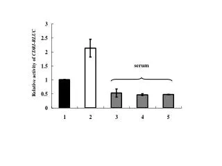 Relative activity of CDRI-RLUC