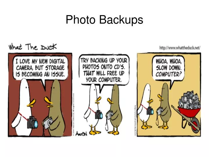 photo backups