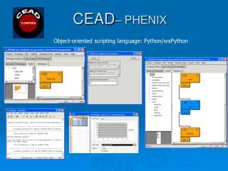 CEAD – PHENIX