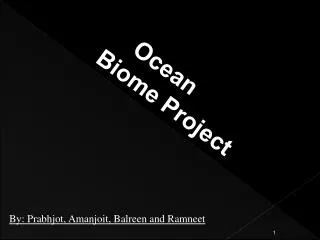 Ocean Biome Project