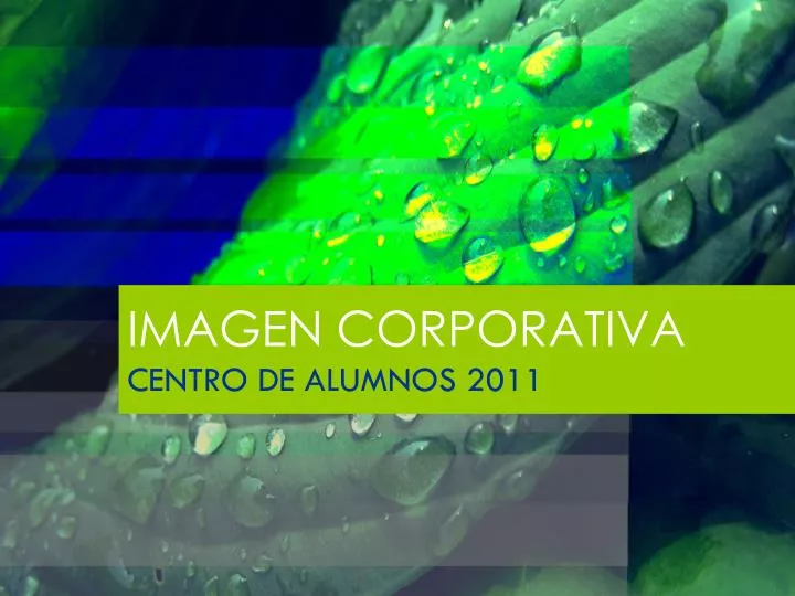 imagen corporativa centro de alumnos 2011