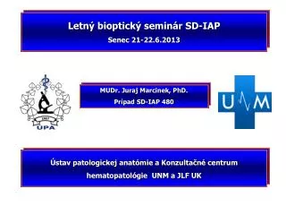 Letný bioptický seminár SD-IAP Senec 21-22.6.2013