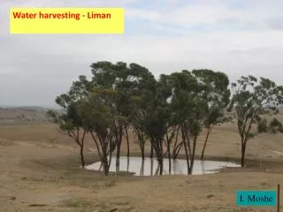 Water harvesting - Liman