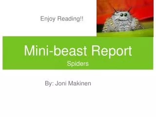 Mini-beast Report