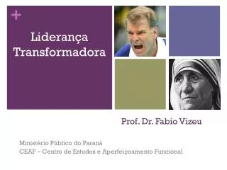 prof dr fabio vizeu