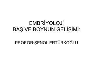 embr yoloj ba ve boynun gel m